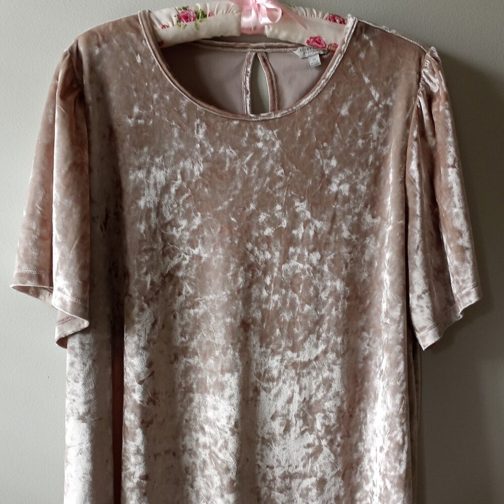 'Lucky brand' Flutter Sleeve Top Size 2X Crushed Poly velvet EUC *Flawless
